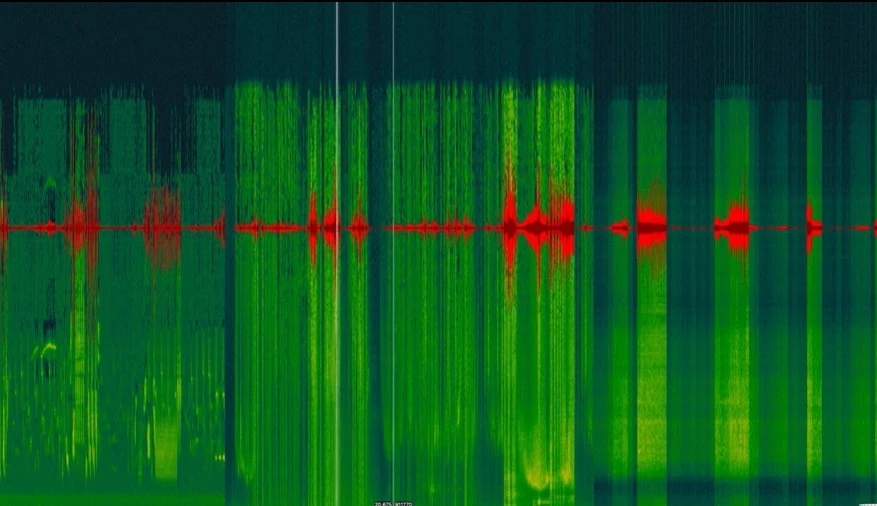 AI as Translator: How art generated by Artificial Intelligence can decode non-human messages.